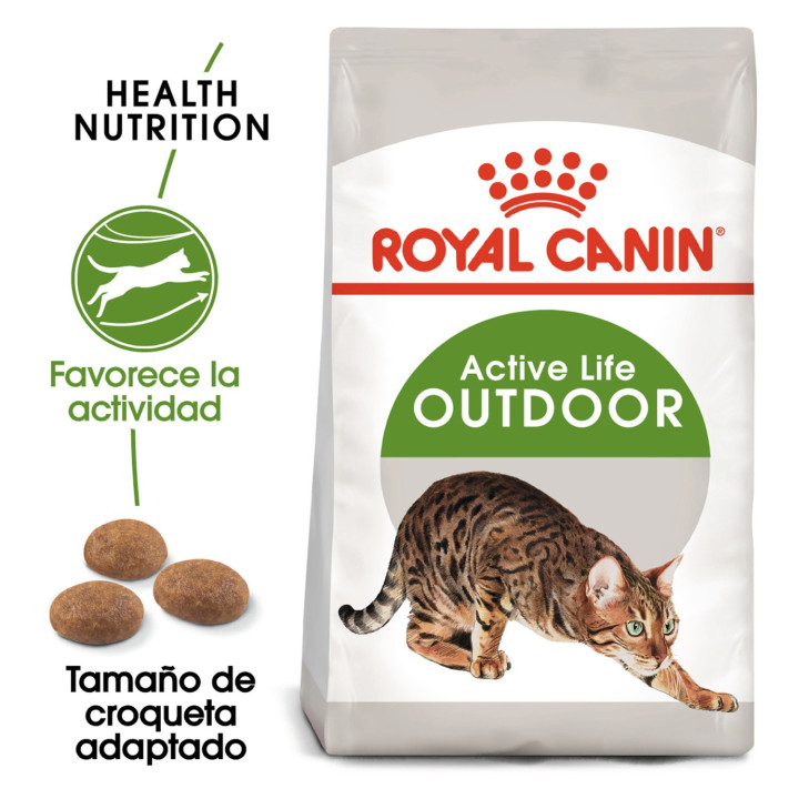 Royal Canin Feline Outdoor 30, Pienso para gatos - Kompymascotas