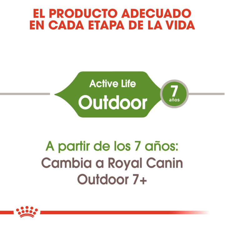 Royal Canin Feline Outdoor 30, Pienso para gatos - Kompymascotas