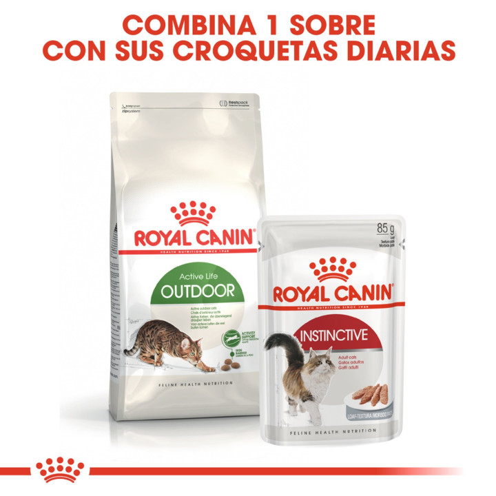 Royal Canin Feline Outdoor 30, Pienso para gatos - Kompymascotas