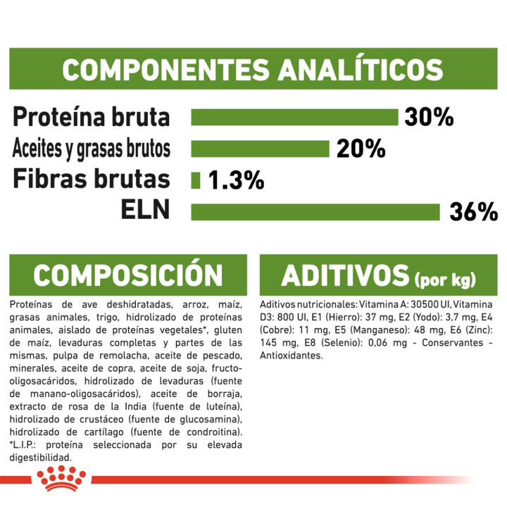 Royal Canin Feline Outdoor 30, Pienso para gatos - Kompymascotas