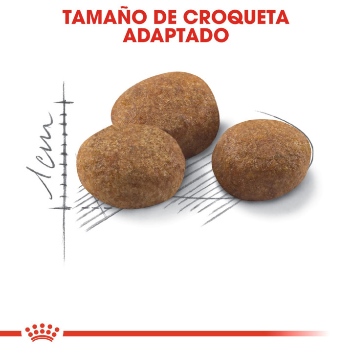 Royal Canin Sterilised +7, pienso para gatos esterilizados - Kompymascotas