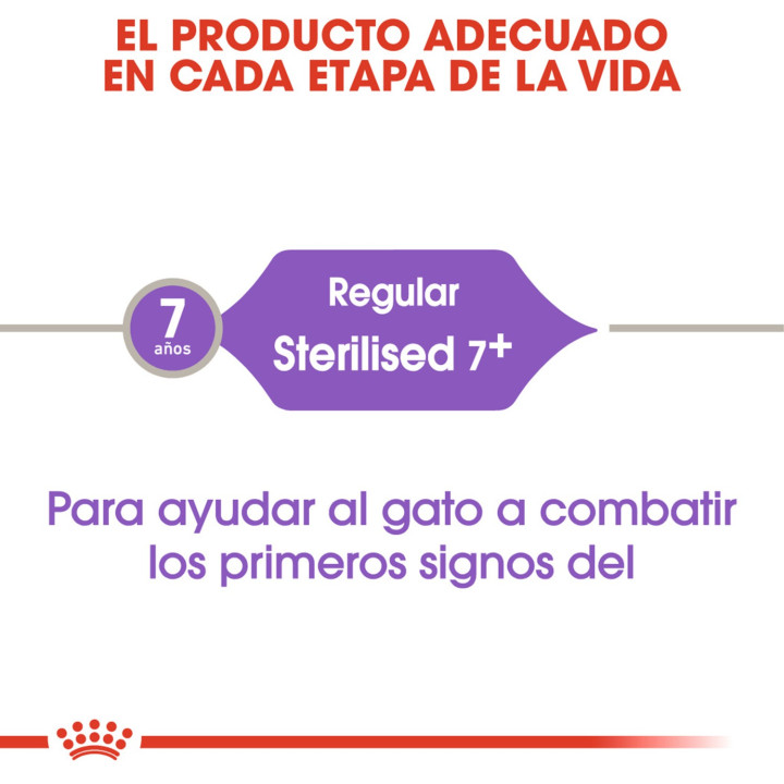 Royal Canin Sterilised +7, pienso para gatos esterilizados - Kompymascotas
