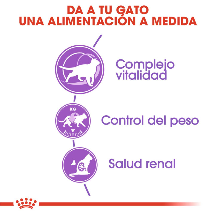 Royal Canin Sterilised +7, pienso para gatos esterilizados - Kompymascotas