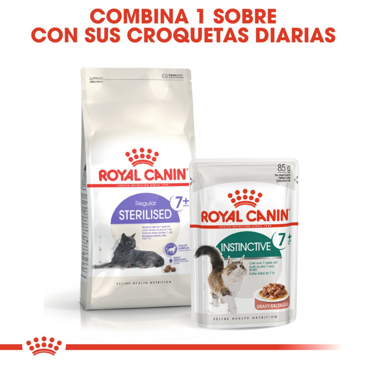 Royal Canin Sterilised +7, pienso para gatos esterilizados - Kompymascotas