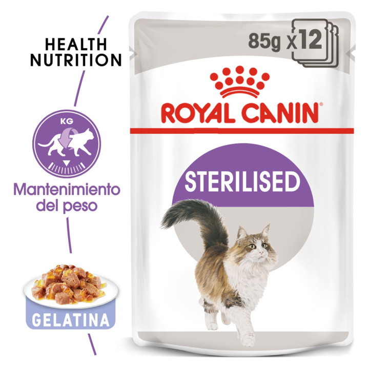 Royal Canin Sterilised - Jelly, Latas, comida húmeda para gatos - Kompymascotas