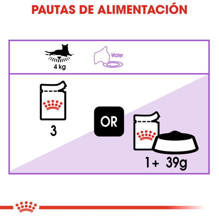 Royal Canin Sterilised - Jelly, Latas, comida húmeda para gatos - Kompymascotas