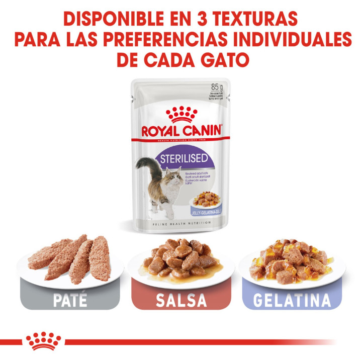 Royal Canin Sterilised - Jelly, Latas, comida húmeda para gatos - Kompymascotas
