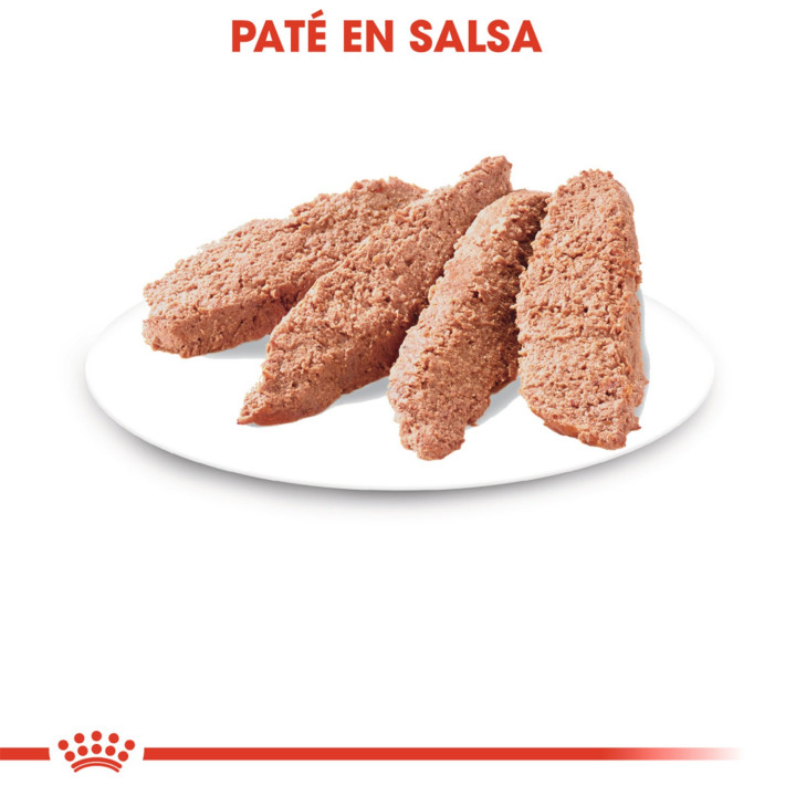 Comida húmeda Royal Canin Sterilised - Paté para gatos - Kompymascotas