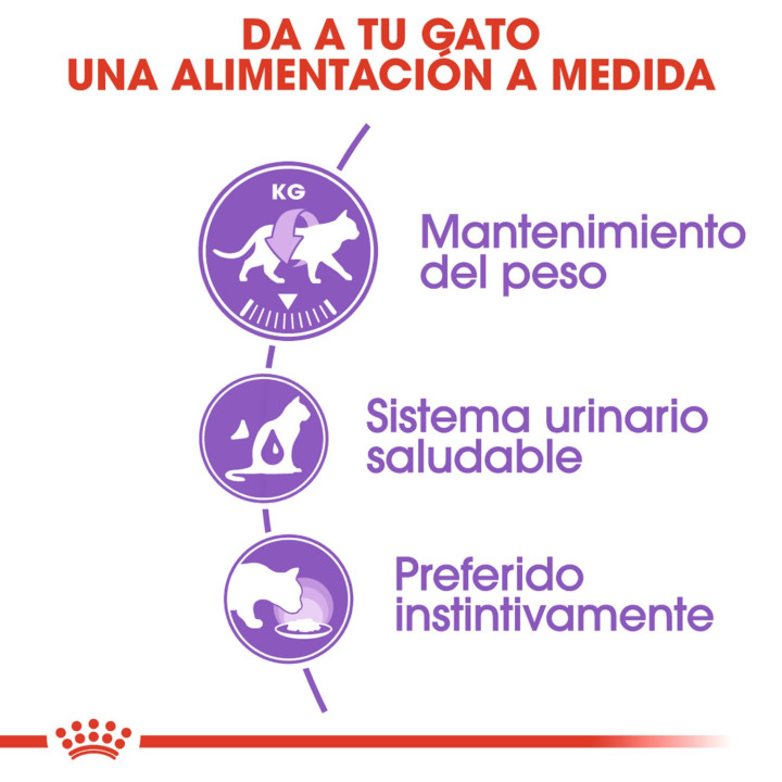 Comida húmeda Royal Canin Sterilised - Paté para gatos - Kompymascotas