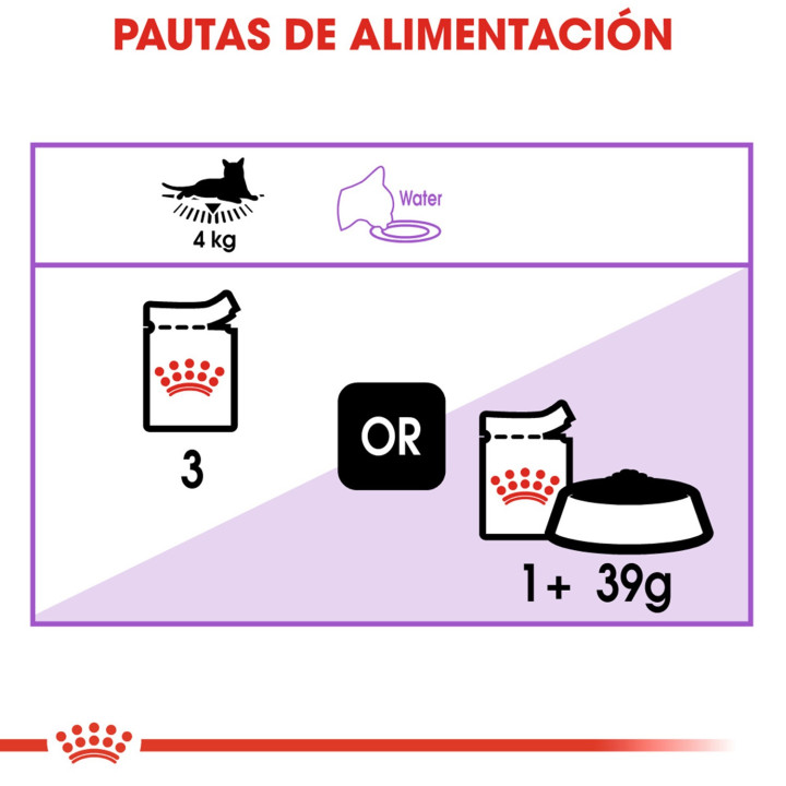 Comida húmeda Royal Canin Sterilised - Paté para gatos - Kompymascotas