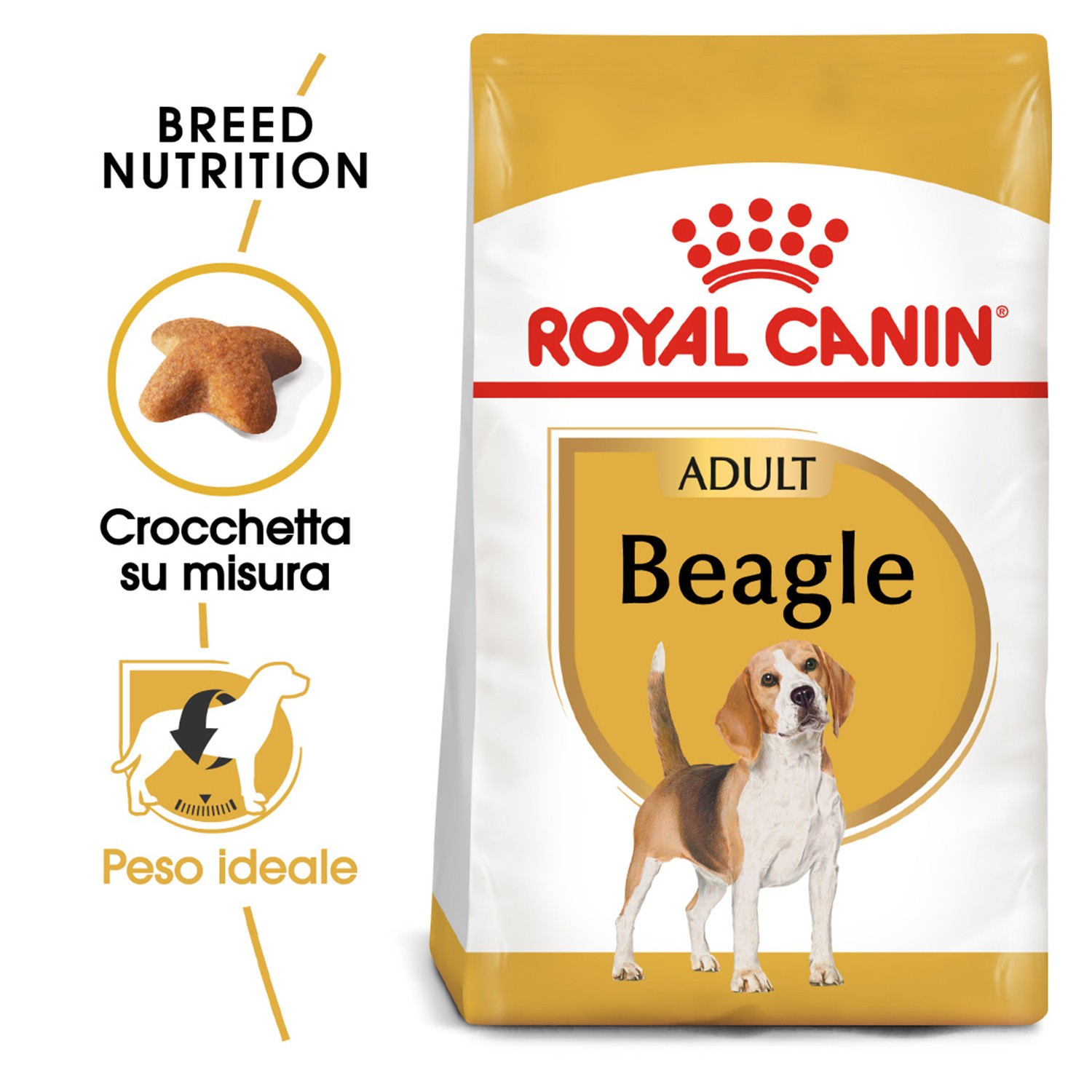Pienso beagle