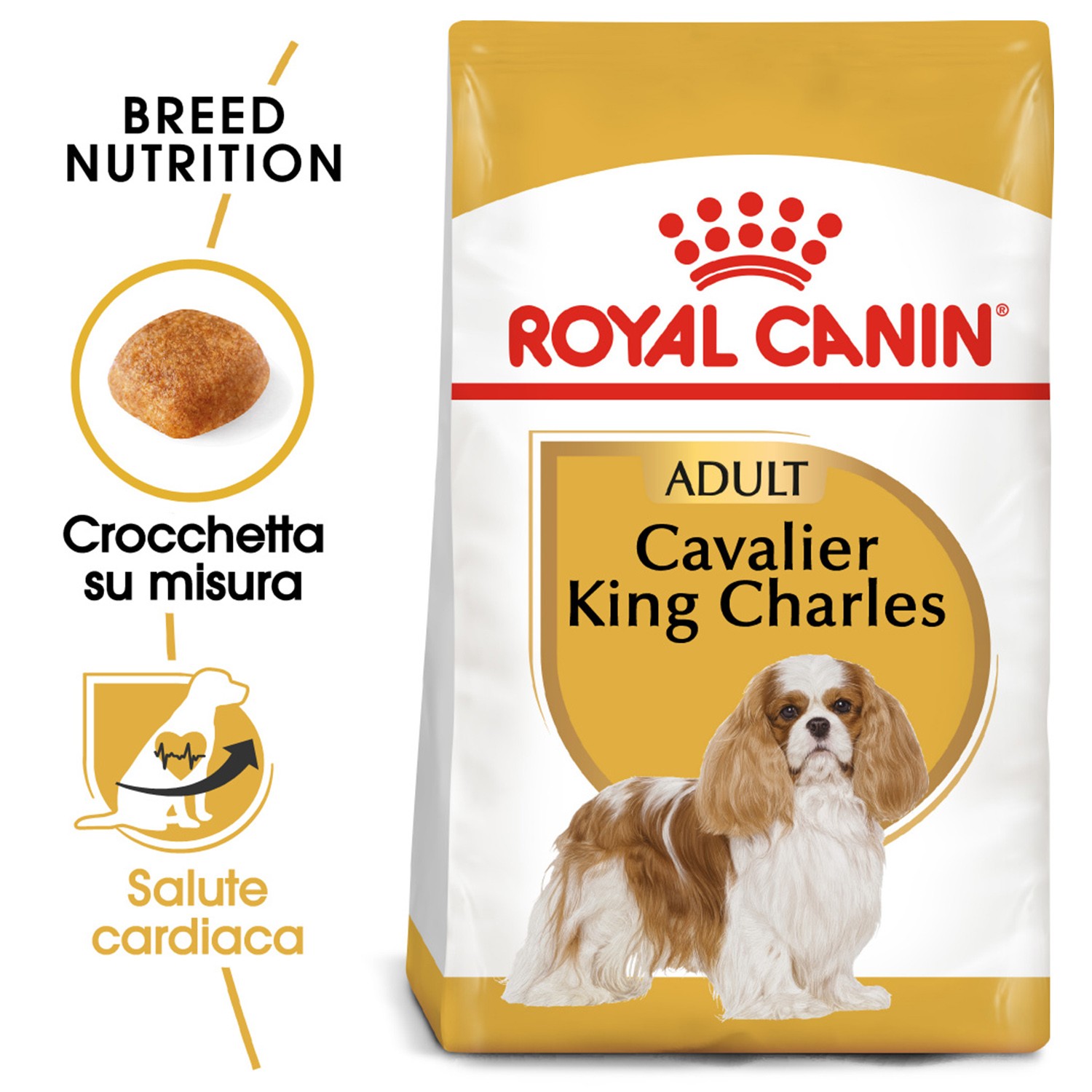 Pienso cavalier
