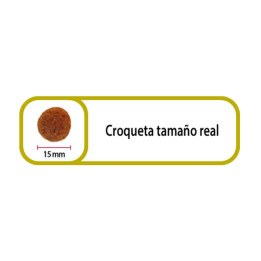 Picart Select Lamb & Rice, piensos para perros - Kompymascotas