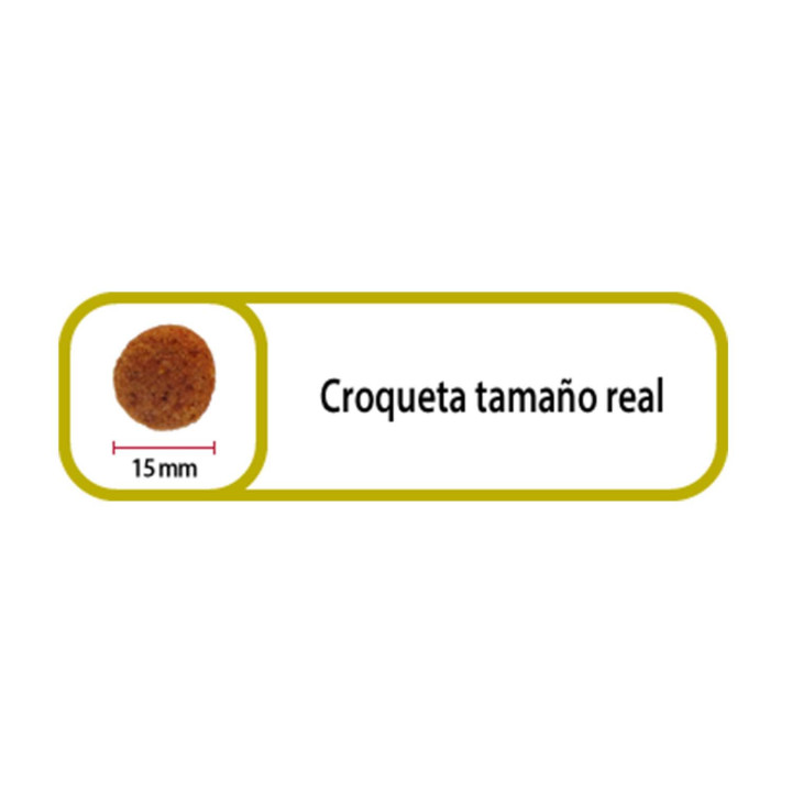 Picart Select Lamb & Rice, piensos para perros - Kompymascotas