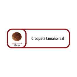 Picart Select Puppy Maxi Chicken & Rice, pienso para perros - Kompymascotas