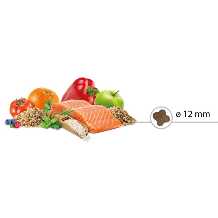 Alimento completo con salmón y arroz