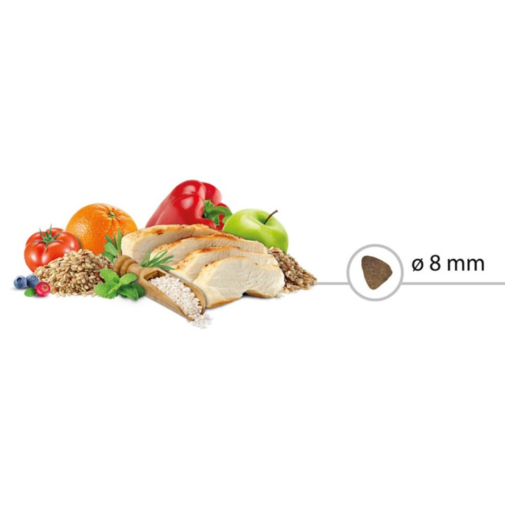 Alimento completo con pollo y arroz
