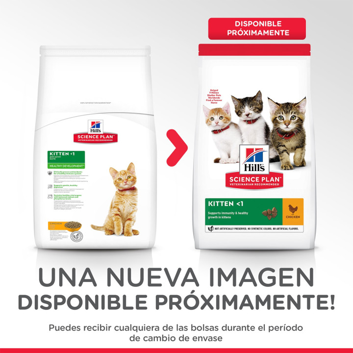 Pienso Hill's Science Plan Kitten Healthy Development - Kompymascotas