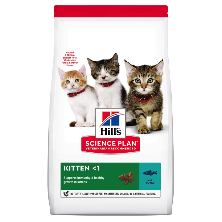 Hill's Science Plan Kitten Healthy Development, pienso para gato - Kompymascotas