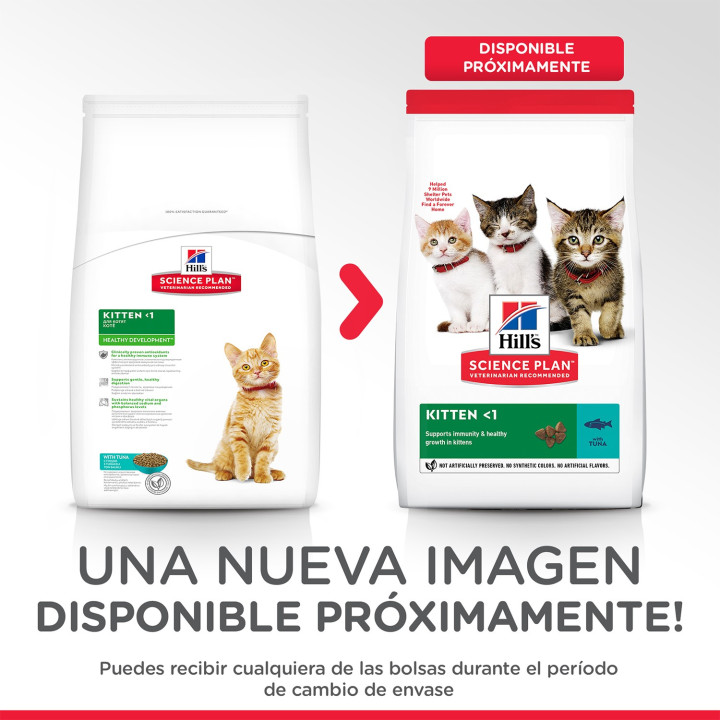 Hill's Science Plan Kitten Healthy Development, pienso para gato - Kompymascotas