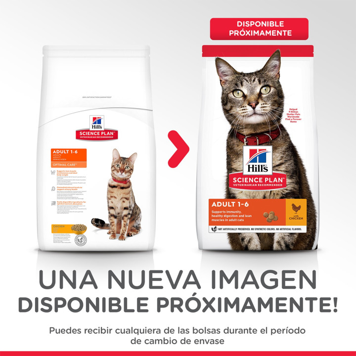 Hill's Science Plan Feline Adult Optimal Care, pienso para gato - Kompymascotas