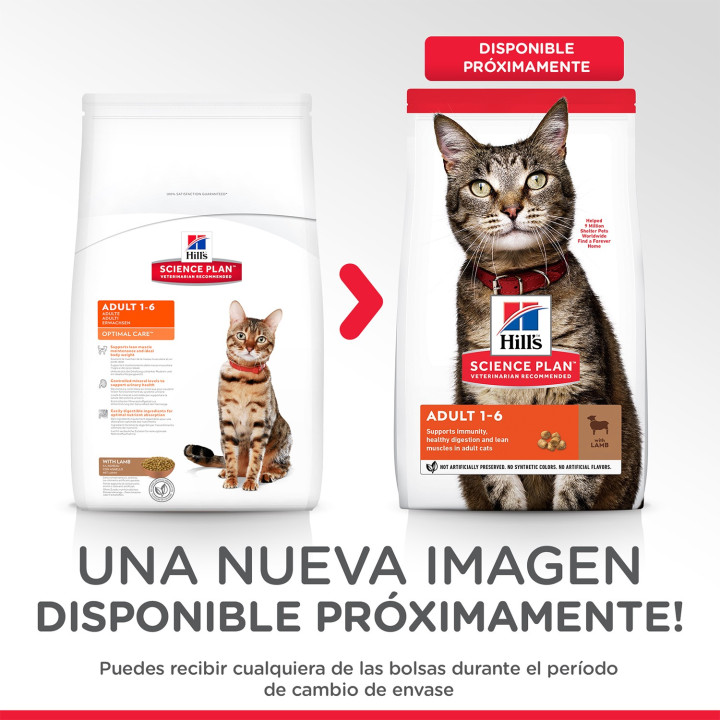 Hill's Science Plan Feline Adult Optimal Care, pienso para gatos - Kompymascotas