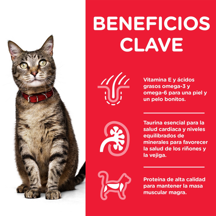 Hill's Science Plan Feline Adult Optimal Care, pienso para gatos - Kompymascotas