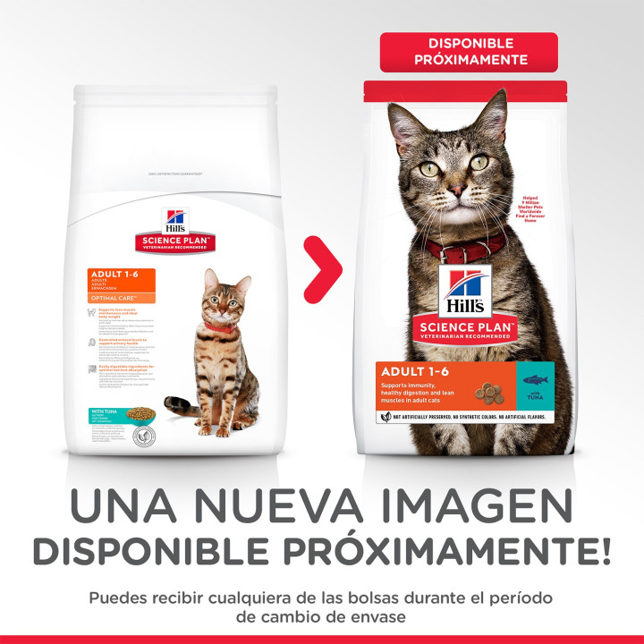 Hill's Science Plan Feline Adult Optimal Care, pienso para gatos - Kompymascotas