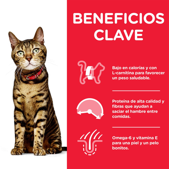 Hill's Science Plan Feline Adult Light, pienso para gatos - Kompymascotas
