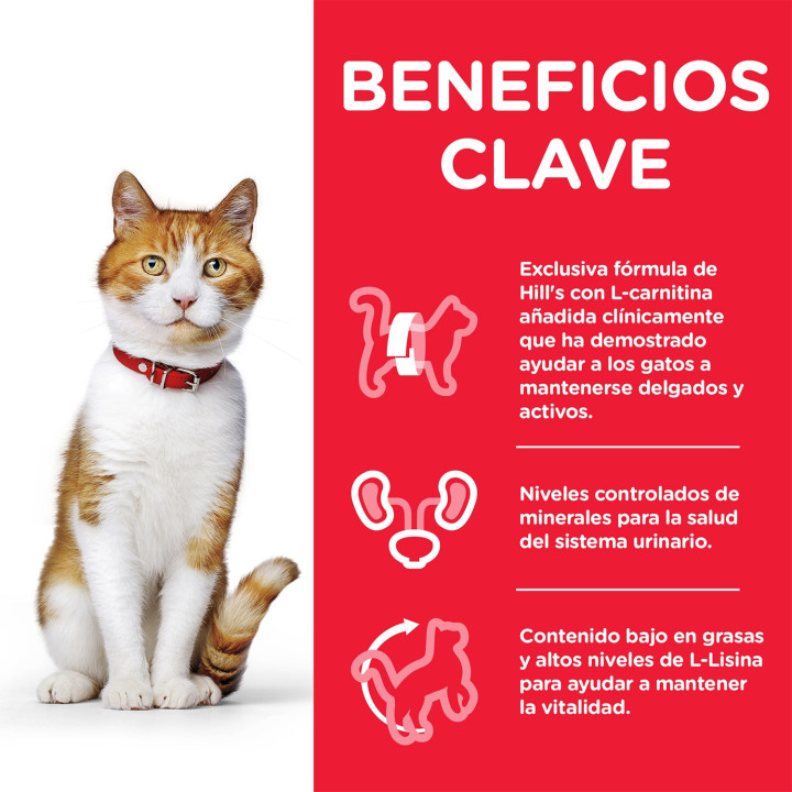 Hill's Science Plan Feline Young Adult Sterilized Cat, pienso para gatos - Kompymascotas