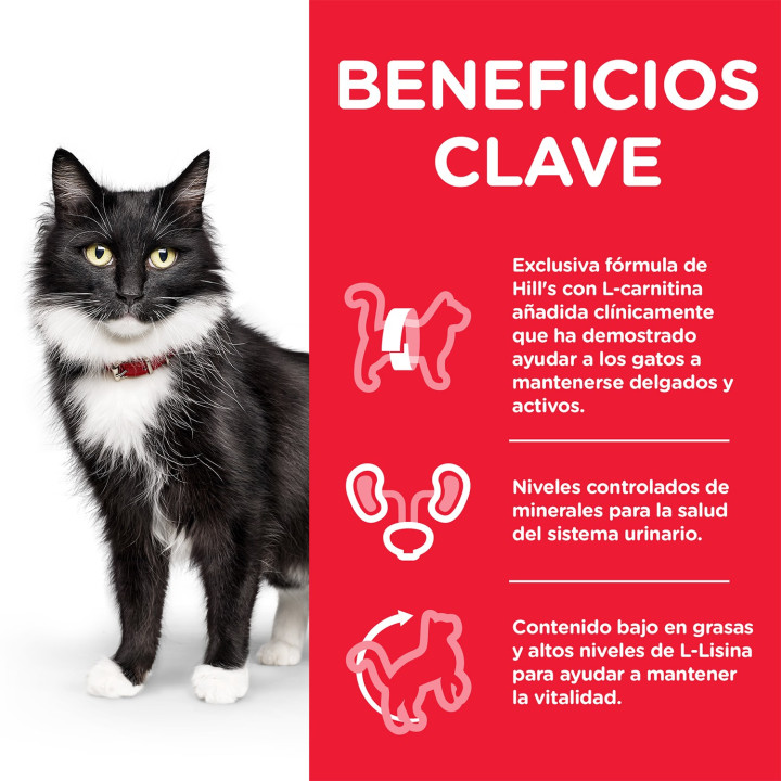 Hill's Science Plan Feline Mature Adult Sterilized Cat, pienso para gato - Kompymascotas