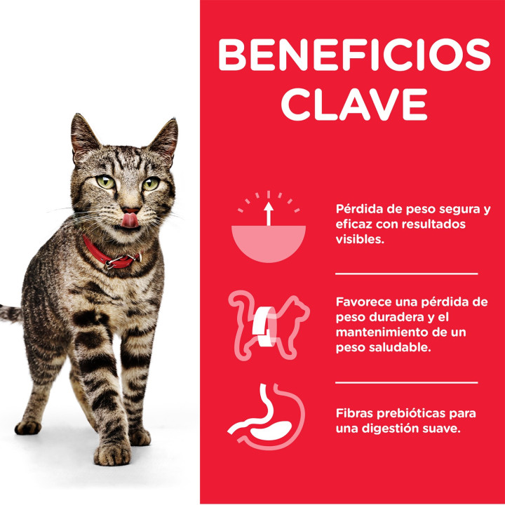 Hill's Science Plan Perfect Feline Pienso para gatos - Kompymascotas