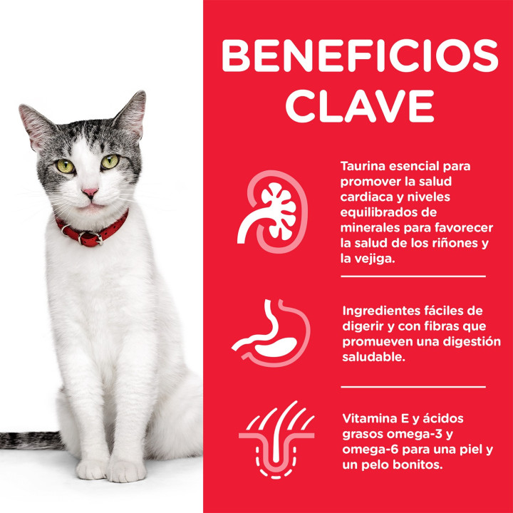Hill's Science Plan Feline Senior 11+ Healthy Ageing - Kompymascotas