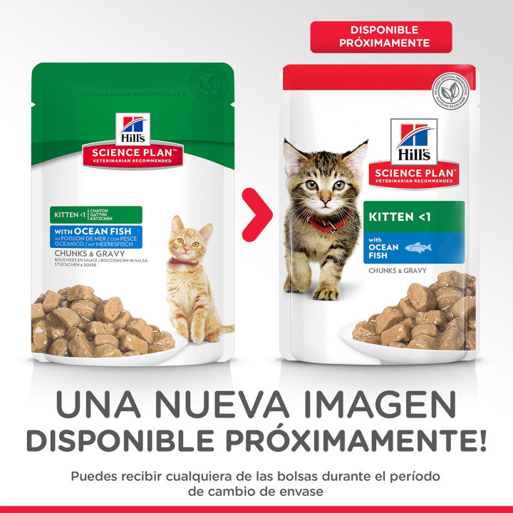 Comida Húmeda Hill's Science Plan Kitten con Pescado azul - Kompymascotas