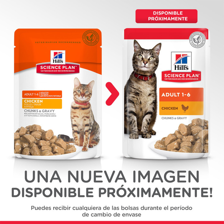 Comida Húmeda Hill's Science Plan Feline Adult para gato- Kompymascotas