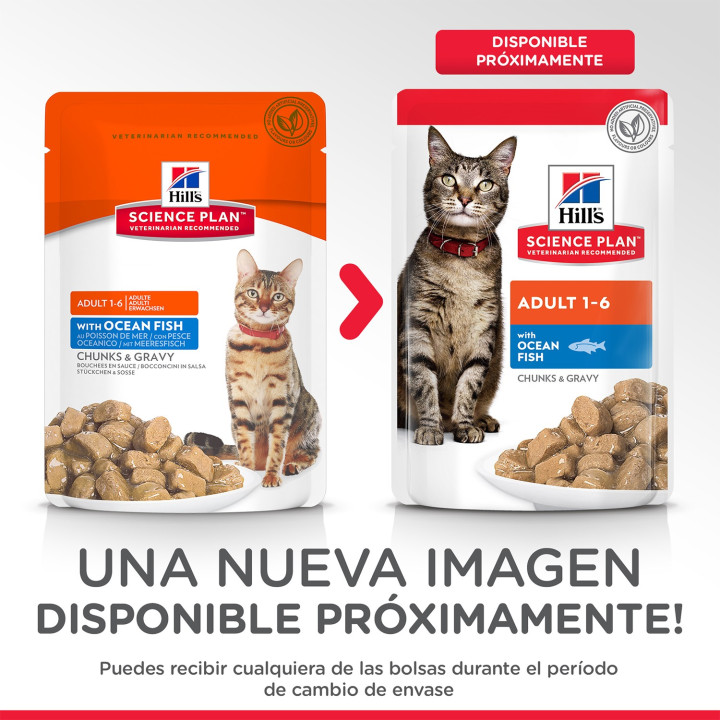 Hill's Science Plan Feline Adult, Comida Húmeda para gatos - Kompymascotas