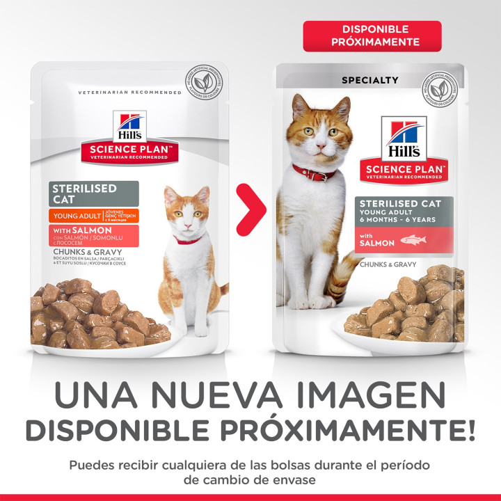 Hill's Science Plan Salmón (Bolsita), Comida húmeda para gatos - Kompymascotas