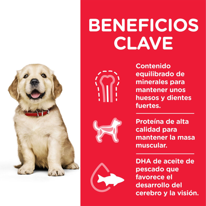 Hill's Science Plan Puppy Healthy Development, pienso perros Razas Grandes - Kompymascotas