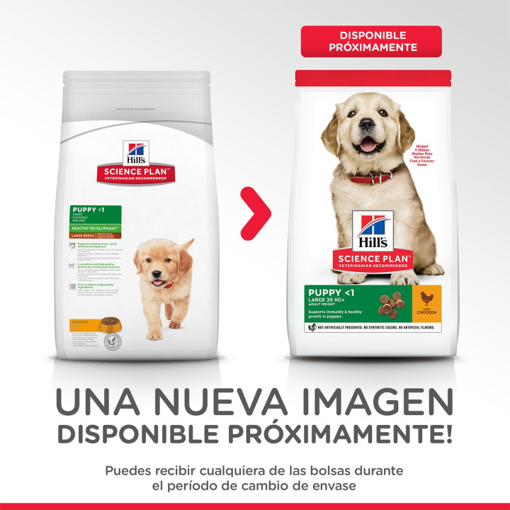 Hill's Science Plan Puppy Healthy Development, pienso perros Razas Grandes - Kompymascotas