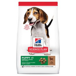 Hill's Science Plan Puppy Healthy Development, pienso para perro - Kompymascotas