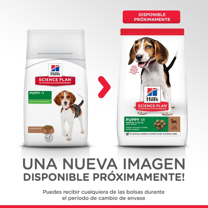 Hill's Science Plan Puppy Healthy Development, pienso para perro - Kompymascotas