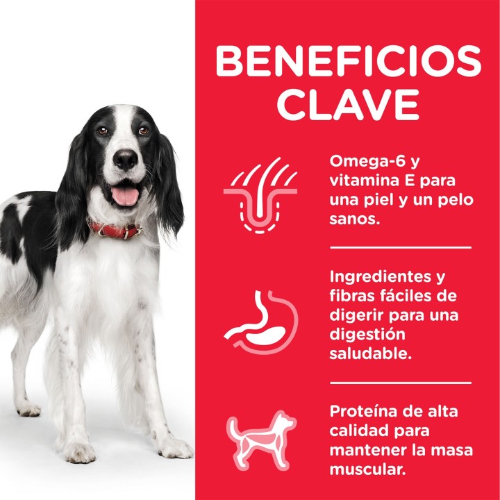 Hill's Science Plan Adult con Ternera, comida húmeda perro - Kompymascotas