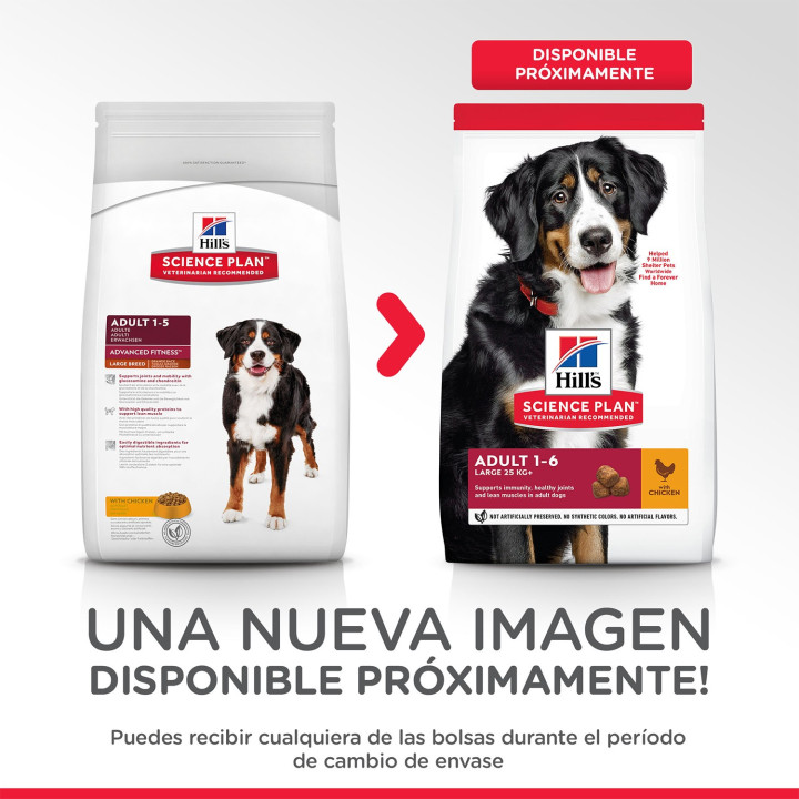 Hill's Science Plan Adult Advance Fitness Razas Grandes - Kompymascotas