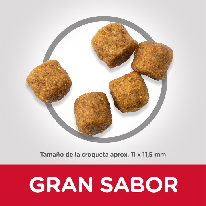 Hill's Science Plan Adult Advance Fitness Cordero y Arroz Pienso para perros - Kompymascotas