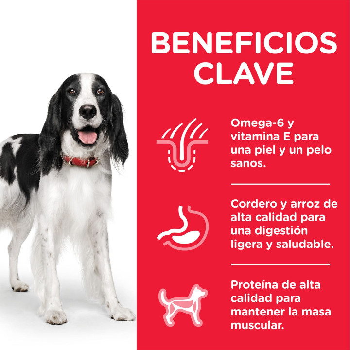 Hill's Science Plan Adult Advance Fitness Cordero y Arroz Pienso para perros - Kompymascotas