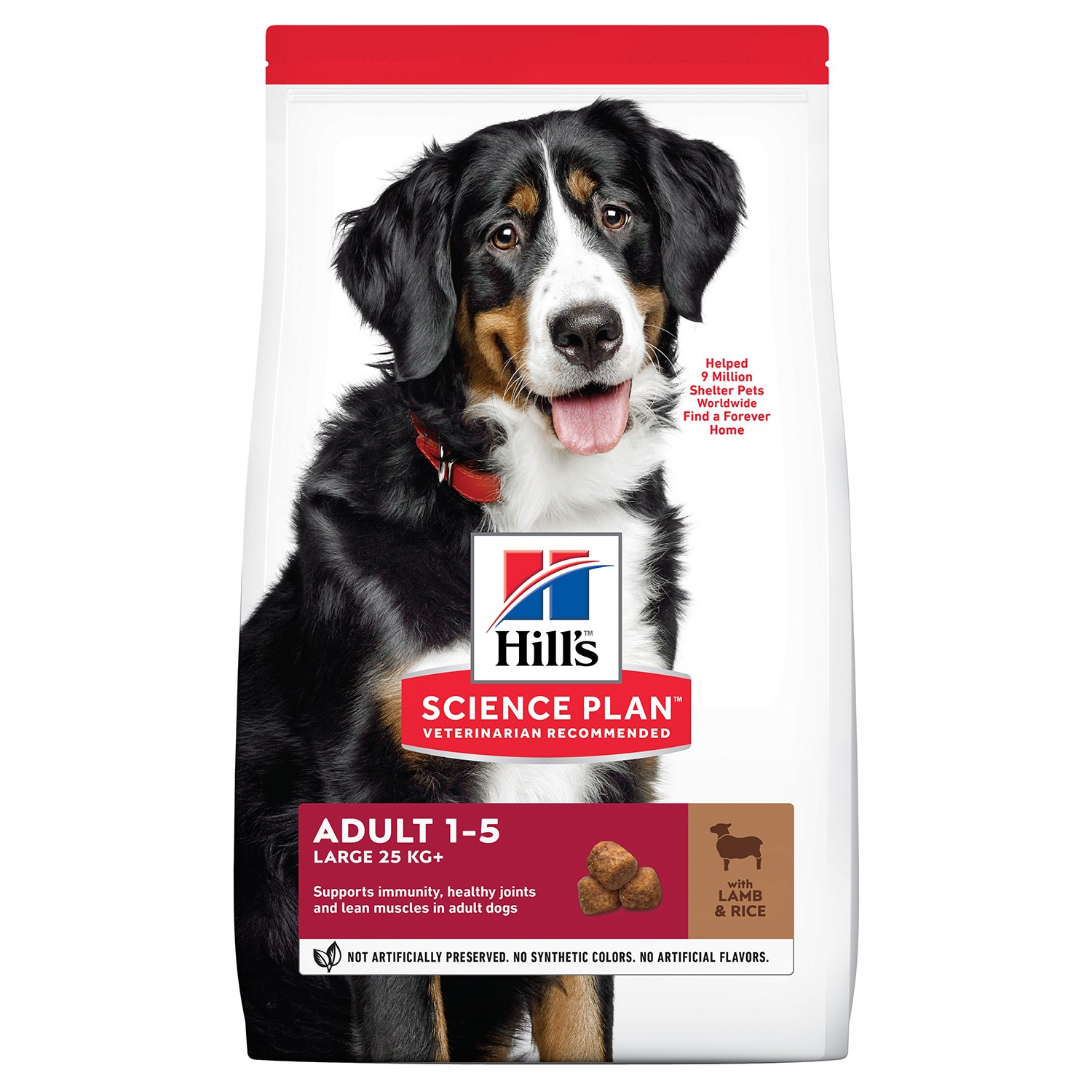 Hill's science plan pienso perro