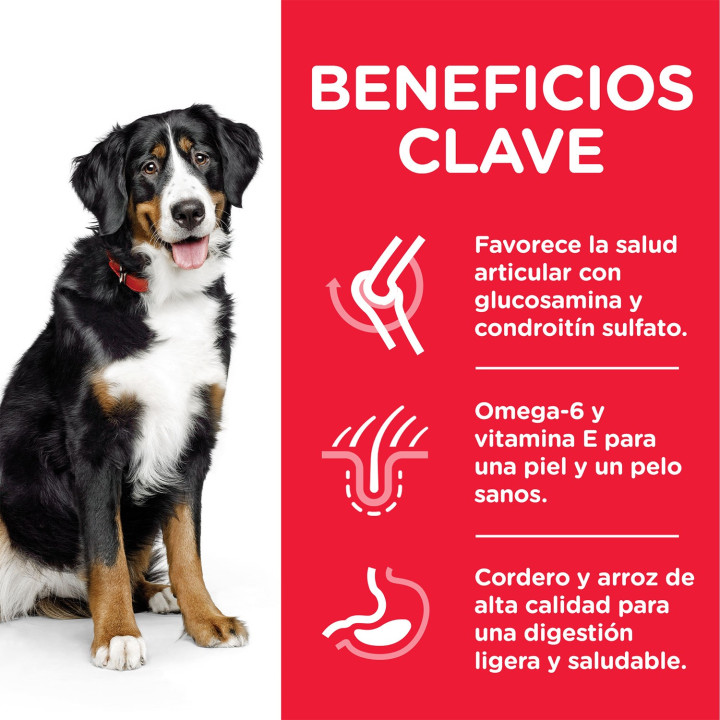 Hill's Science Plan Adult Advance Fitness, pienso perros Razas Grandes - Kompymascotas