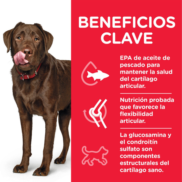 Hill's Science Plan Adult Healthy Mobility, pienso para perros - Kompymascotas
