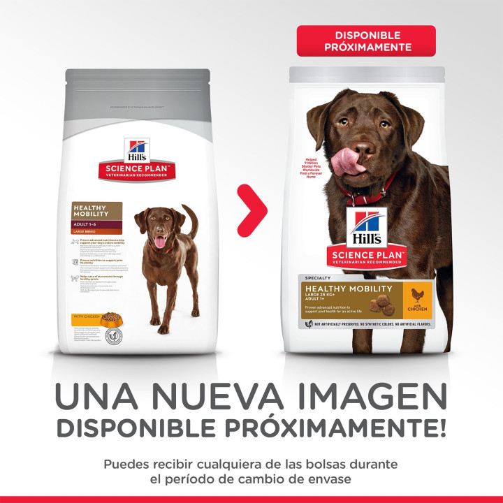Hill's Science Plan Adult Healthy Mobility, pienso para perros - Kompymascotas