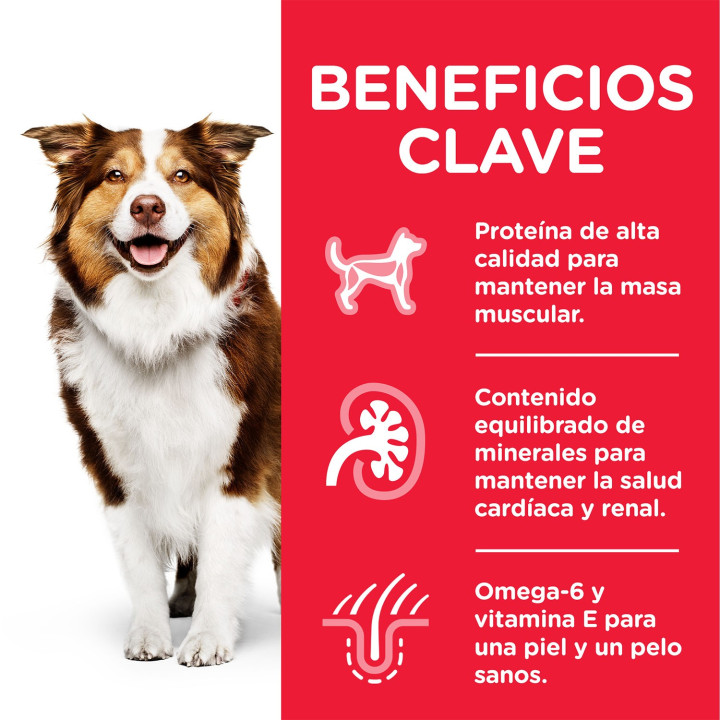 Hill's Science Plan Mature Adult 7+ Active Longevity Pollo, comida húmeda - Kompymascotas